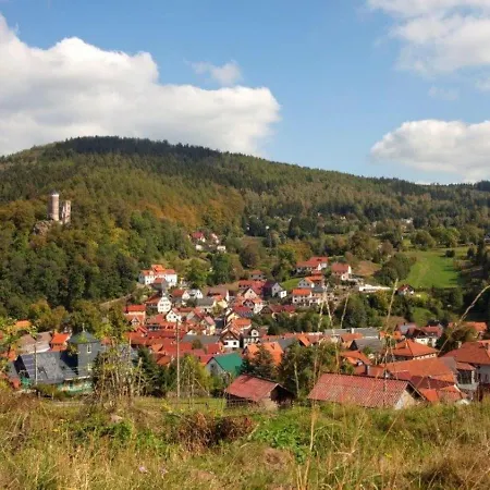 Pleasant In Thuringian Forest With Garden Διαμέρισμα *