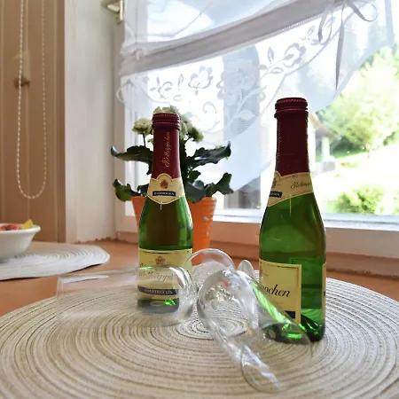 Pleasant In Thuringian Forest With Garden Kurort Steinbach-Hallenberg