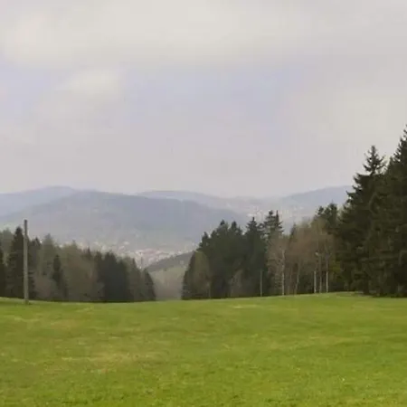 Pleasant In Thuringian Forest With Garden * Kurort Steinbach-Hallenberg